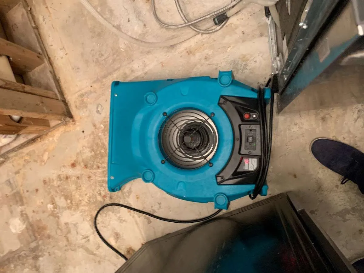 Air mover drying equipment for Mold Remediation & Removal in Wesley Chapel