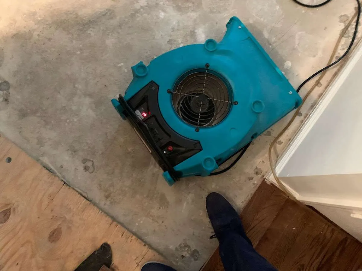Air mover drying subfloor during Commercial Water Damage Restoration in Wesley Chapel